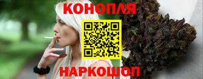 прущий лед Будённовск