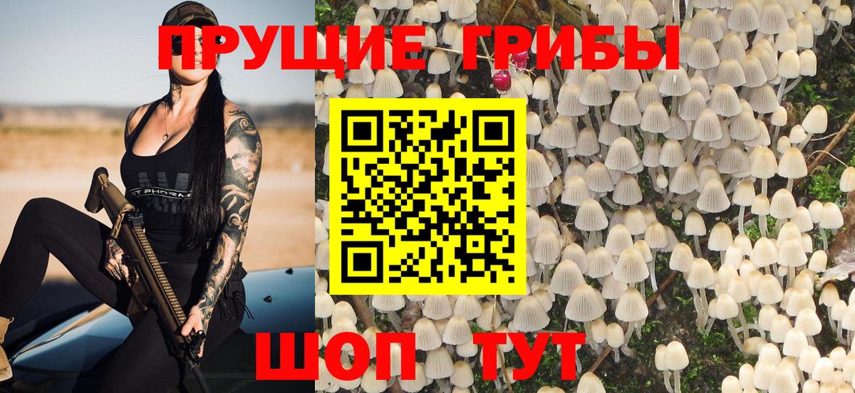 Славгород  Галлюциногенные грибы GOLDEN TEACHER  Псилоцибиновые грибы Magic Shrooms  Вход с VPN 