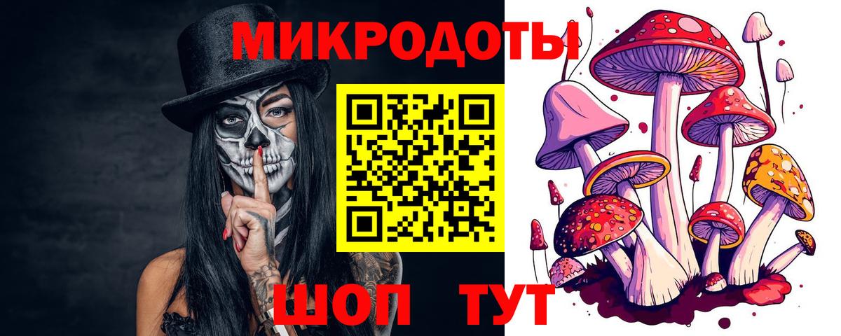 Галлюциногенные грибы Cubensis Славгород